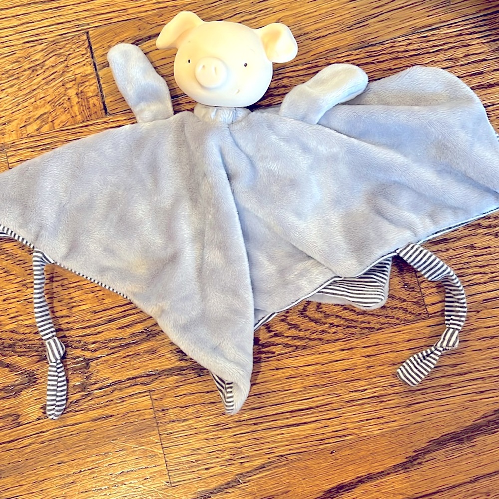 NWOT BUNNIES BY THE BAY PIG LOVEY AND TEETHER